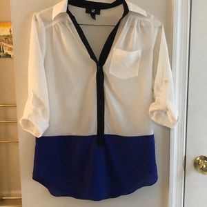 White and Blue Blouse